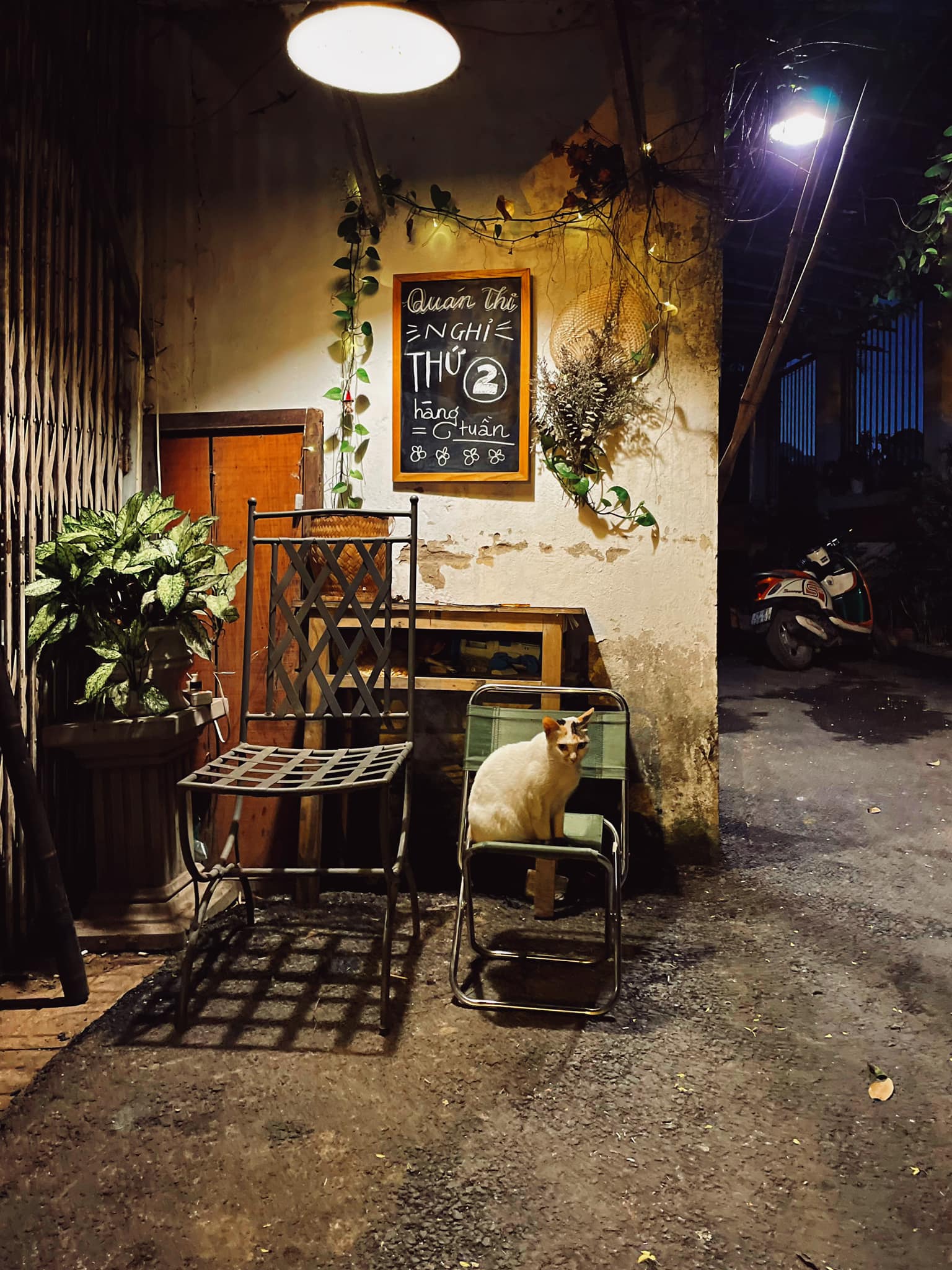 marketing-quan-cafe-solo-media